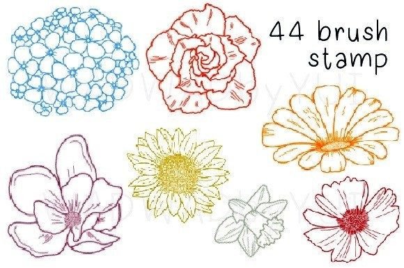 44 Flower Line Art Stamps for Procreate